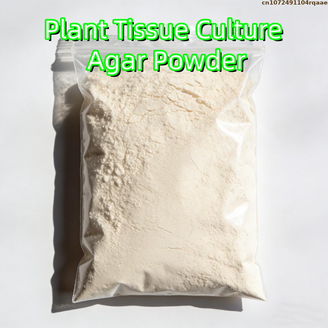 Agar Tissue Culture - Pó de Agar Premium para Cultura