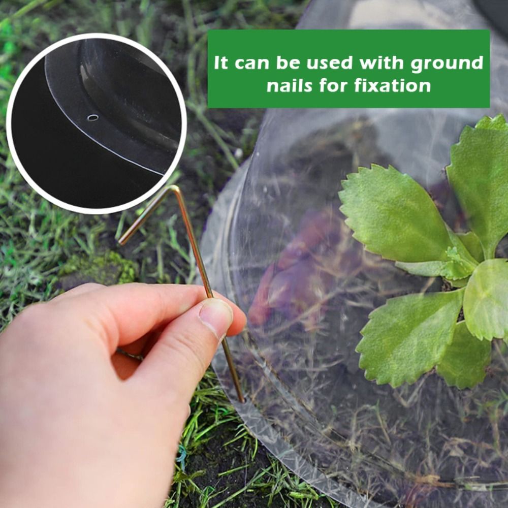 Plastic Dome Clear - Cúpula de Proteção Reutilizável de Plástico