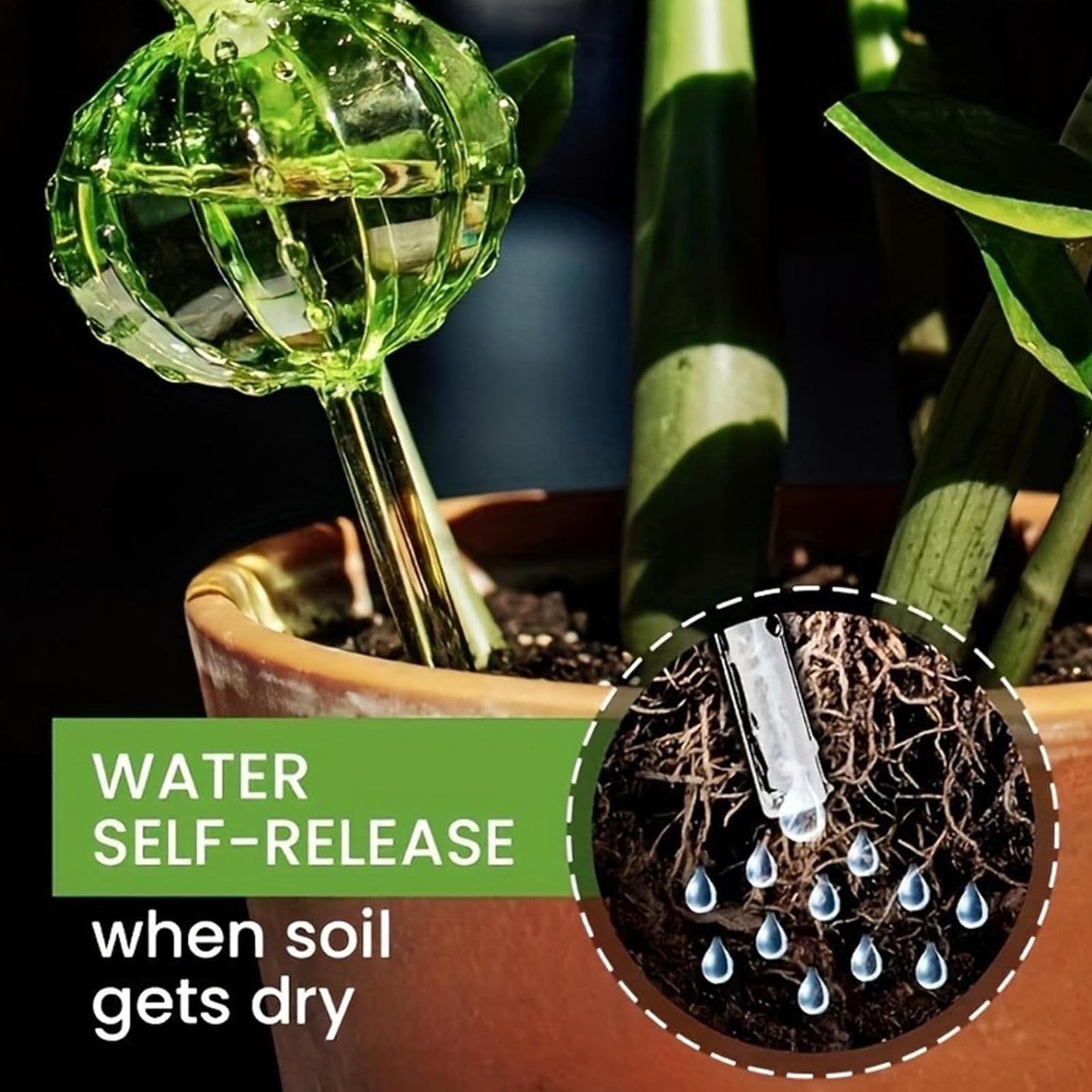 Self Watering Insert - Estacas de Rega para Plantas, 3
