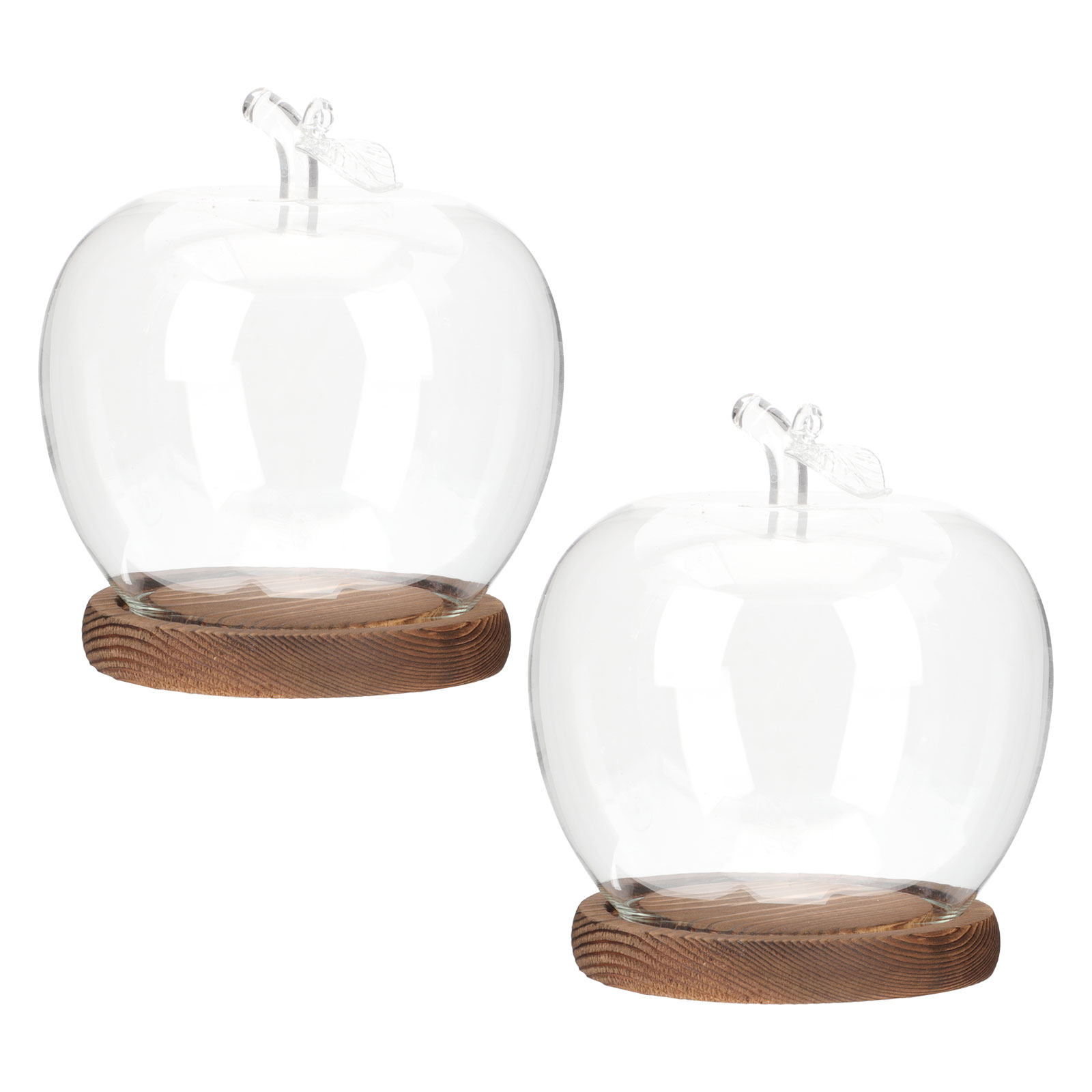 Plastic Dome Clear - 2 Peças de Cúpula de Vidro