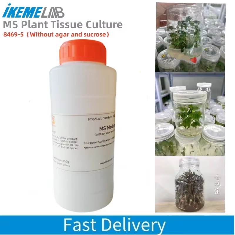 IKEME 250g Lab MS Médio Sem Ág - Agar Tissue Culture avaliação e preço