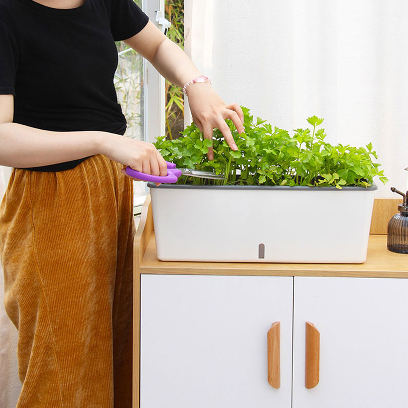 Vasos de plantador de rega aut - Self Watering Insert avaliação e preço