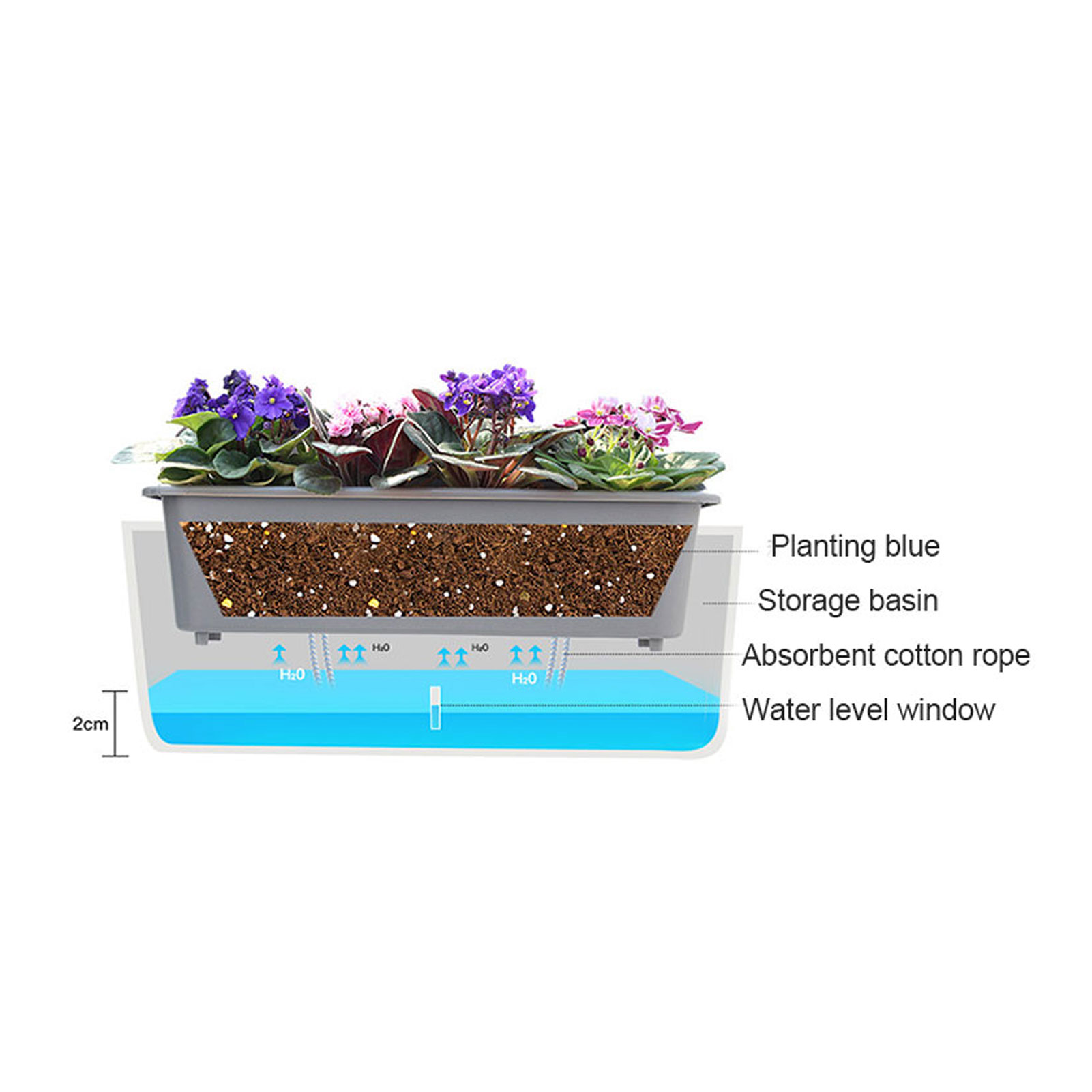 Vasos de plantador de rega aut - Self Watering Insert avaliação e preço