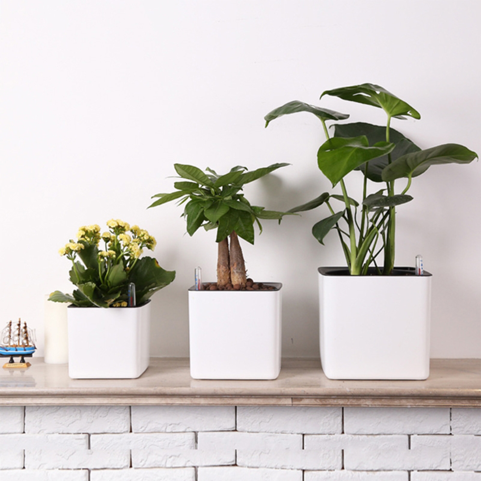 Vaso de flores preguiçoso de 3 - Self Watering Insert avaliação e preço