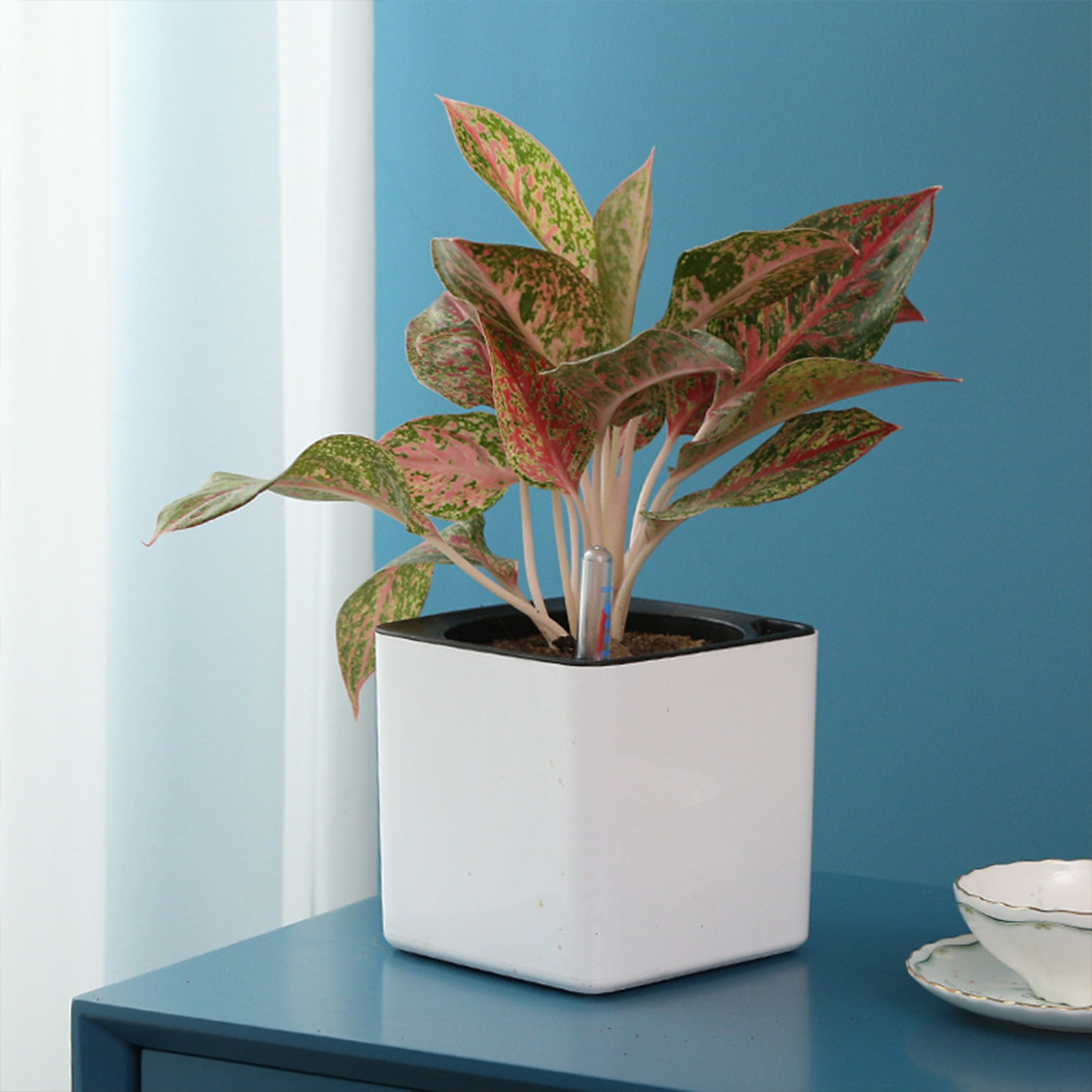 Vaso de flores preguiçoso de 3 - Self Watering Insert avaliação e preço