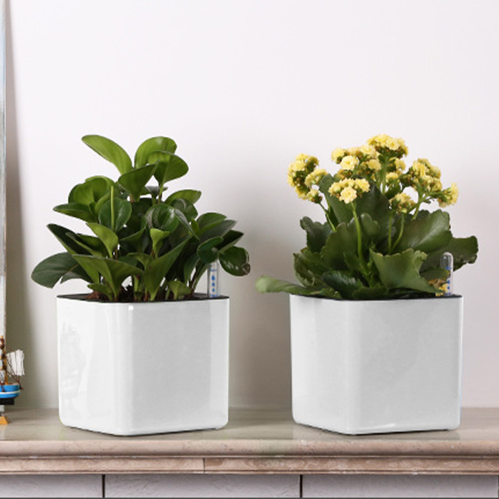Vaso Autoirrigável com Indicad - Self Watering Insert avaliação e preço