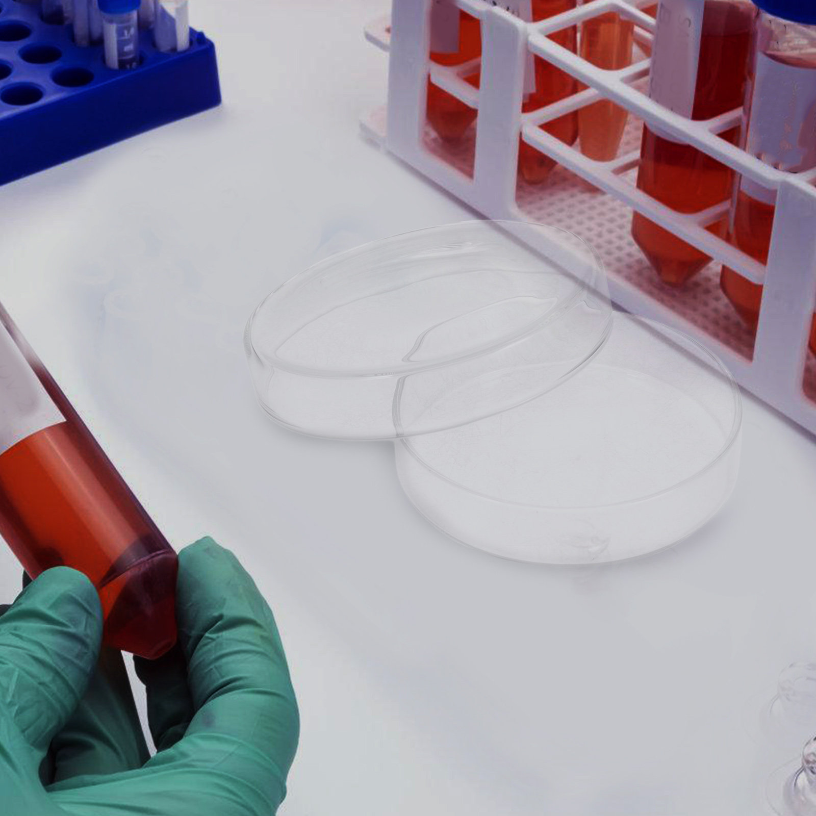 Placa de Petri de Vidro Boross - Agar Tissue Culture avaliação e preço