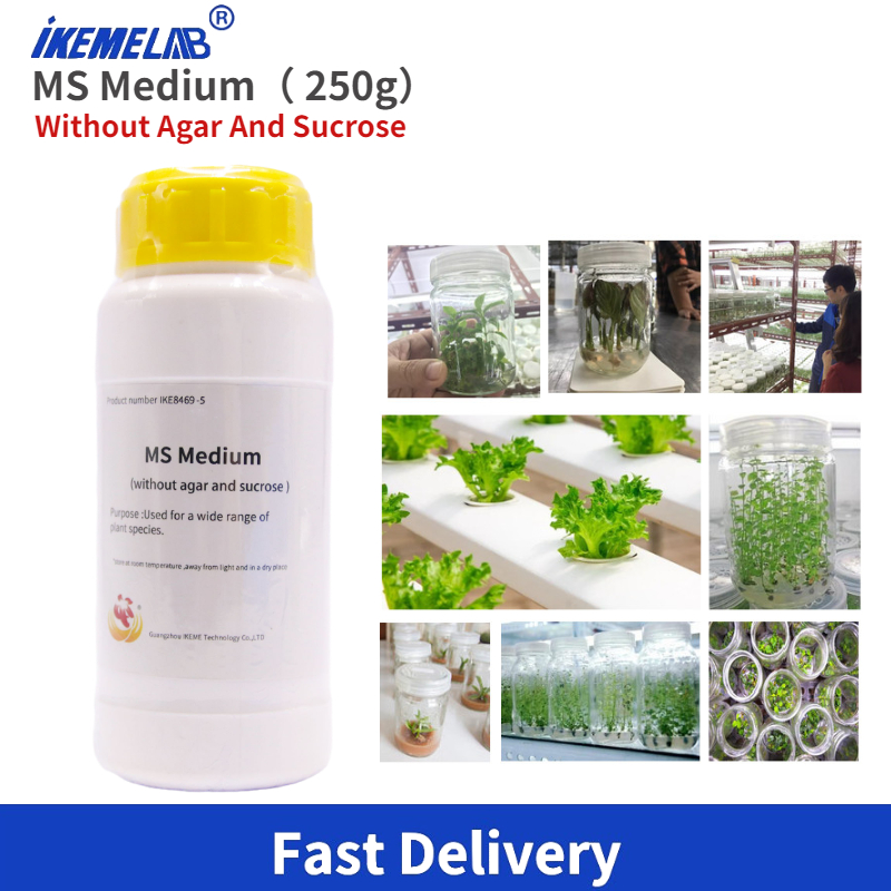 IKEME Lab MS Médio 250g Sem Ág - Agar Tissue Culture avaliação e preço