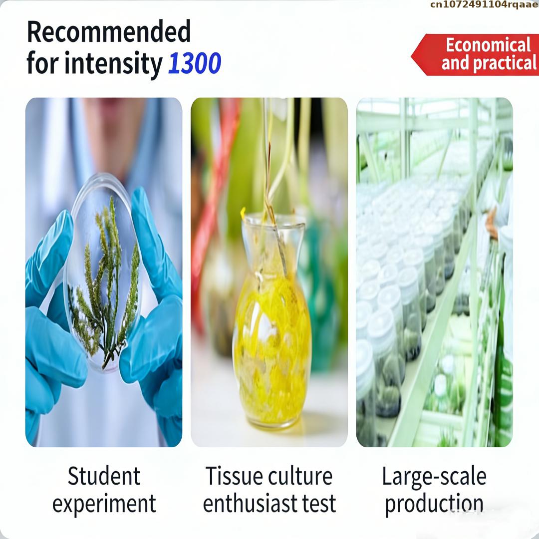 Pó de Agar Premium para Cultur - Agar Tissue Culture avaliação e preço