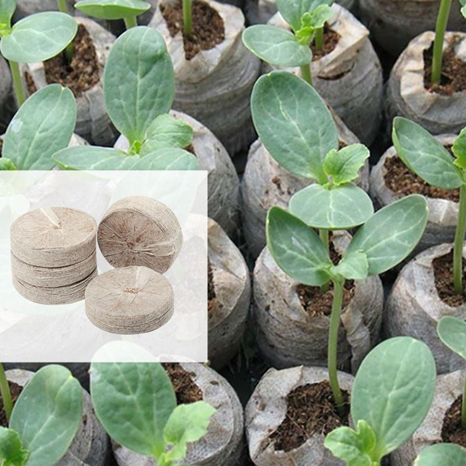 100 Peças de Bandejas de Mistu - Peat Pellet Tray avaliação e preço