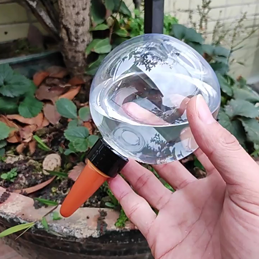 Globos de Irrigação Automática - Self Watering Insert avaliação e preço