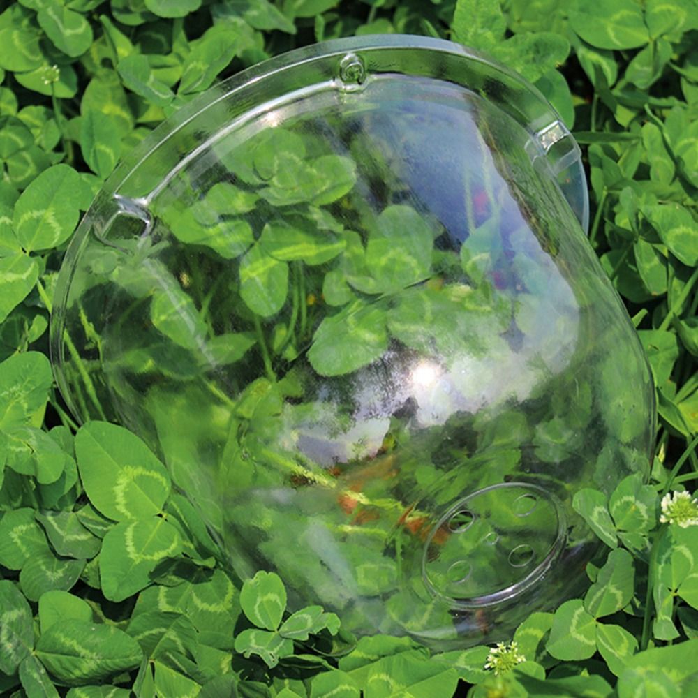 Cúpula de Proteção Reutilizáve - Plastic Dome Clear avaliação e preço