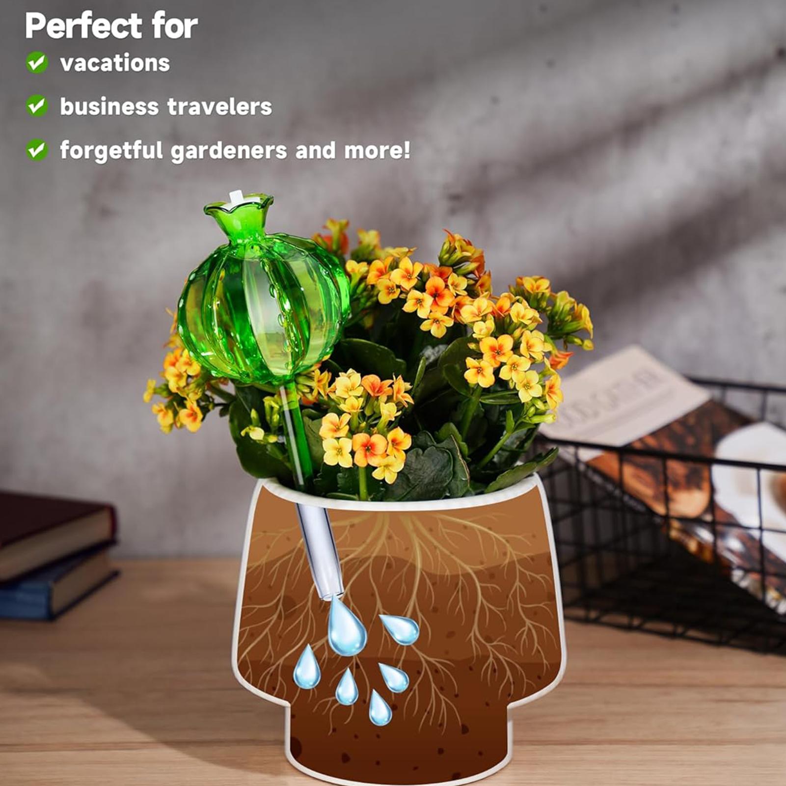 Estacas de Rega para Plantas,  - Self Watering Insert avaliação e preço