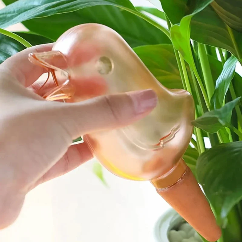 Alta qualidade automática flor - Self Watering Insert avaliação e preço