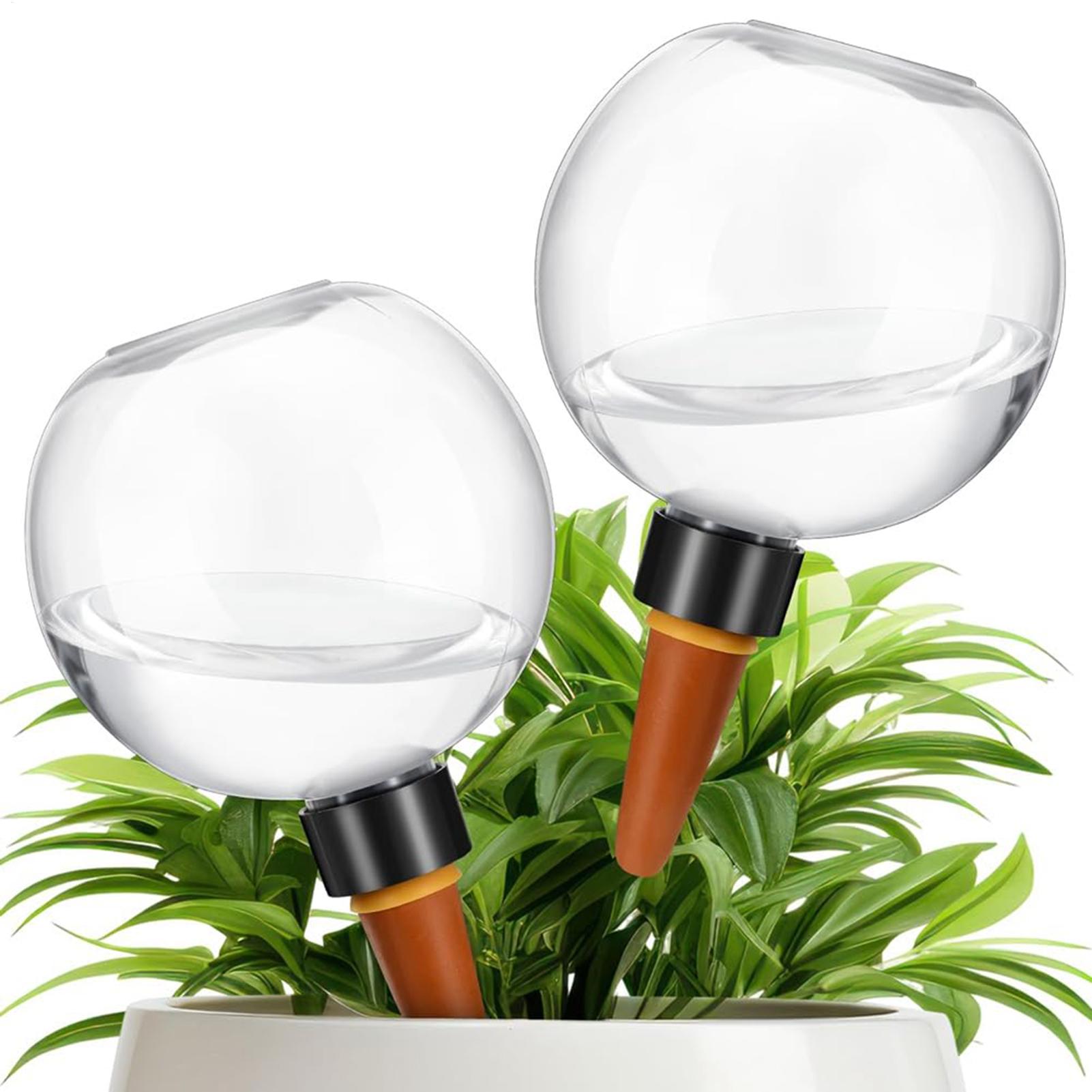 Lâmpadas automáticas de rega d - Self Watering Insert avaliação e preço
