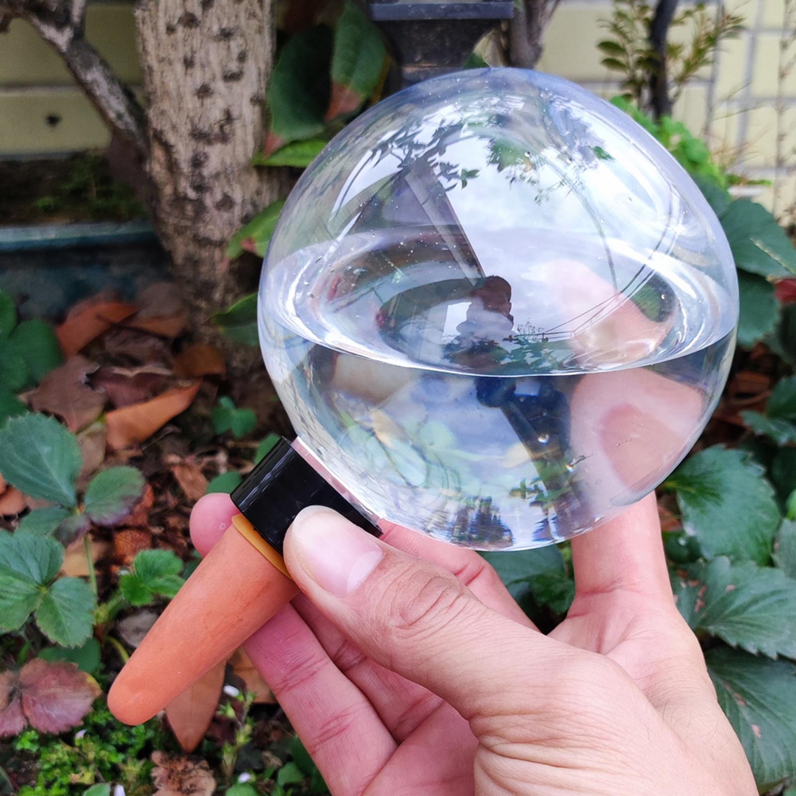 Lâmpadas automáticas de rega d - Self Watering Insert avaliação e preço