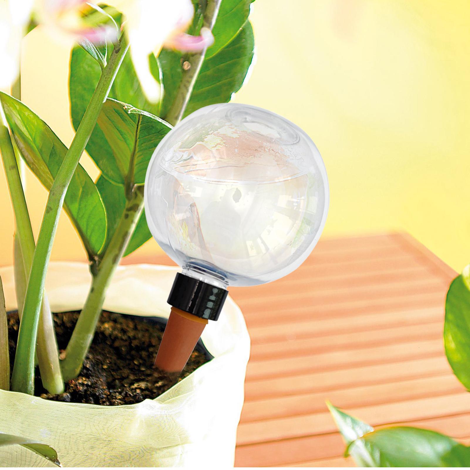 Lâmpadas automáticas de rega d - Self Watering Insert avaliação e preço