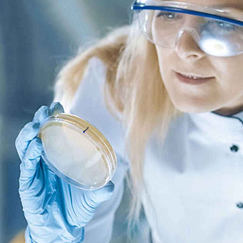10 Peças de Placas de Petri de - Agar Tissue Culture avaliação e preço