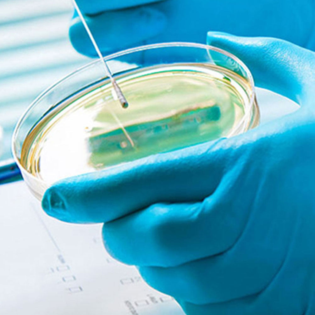10 Peças de Placas de Petri de - Agar Tissue Culture avaliação e preço