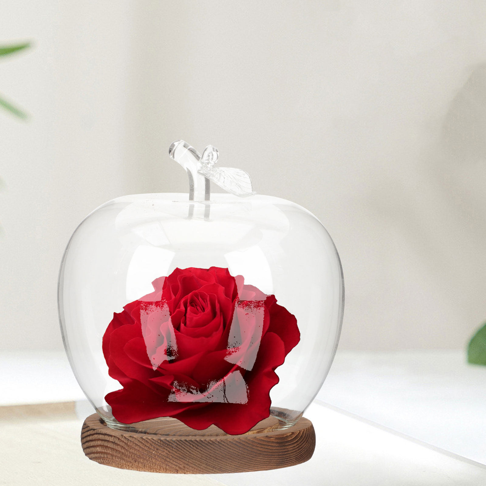 2 Peças de Cúpula de Vidro com - Plastic Dome Clear avaliação e preço