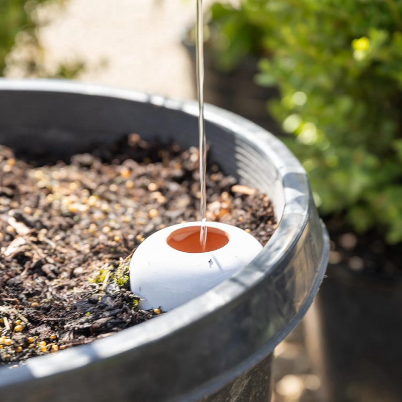 Bola regando planta de terraco - Self Watering Insert avaliação e preço
